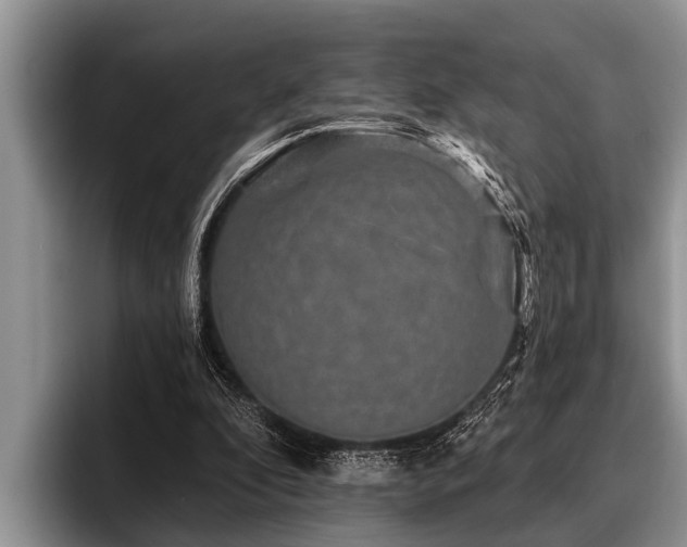 X0000096990296200802081433