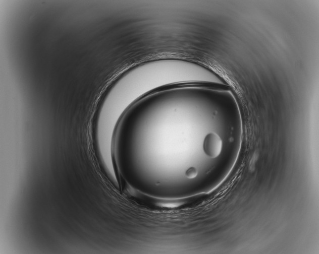 X0000096990297200802081433