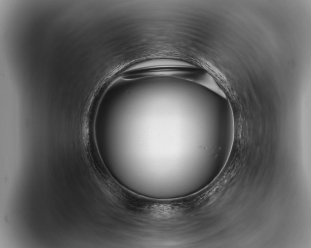 X0000096990298200802081433