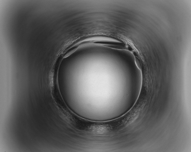 X0000096990299200802081433