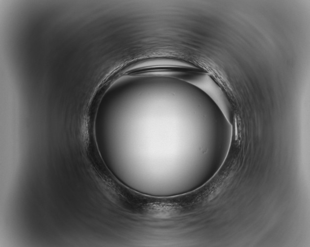 X0000096990300200802081433
