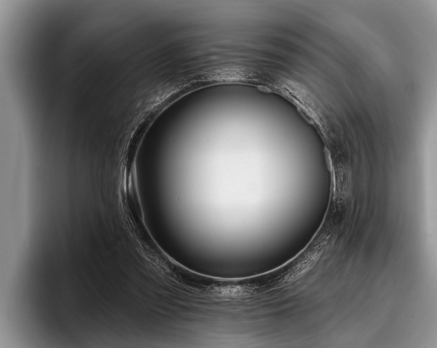X0000096990301200802081433