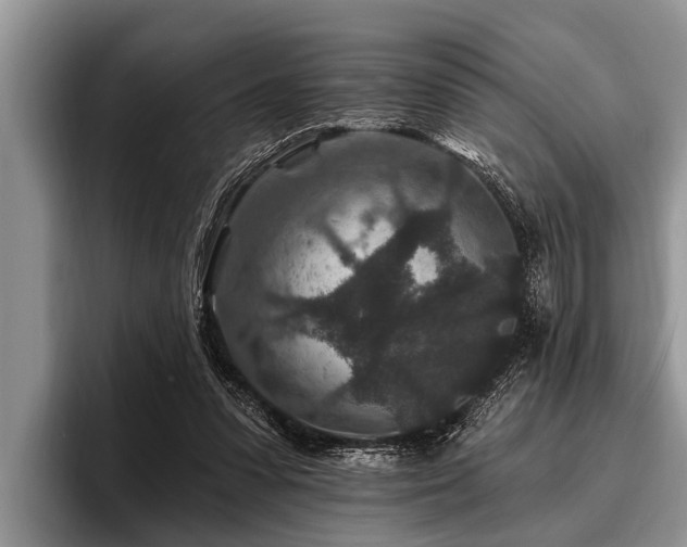 X0000096990303200802081433