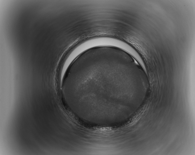 X0000096990304200802081433