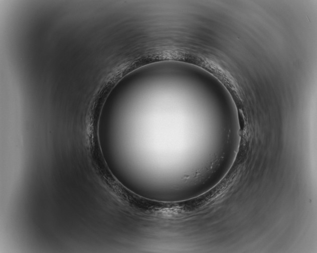 X0000096990306200802081433