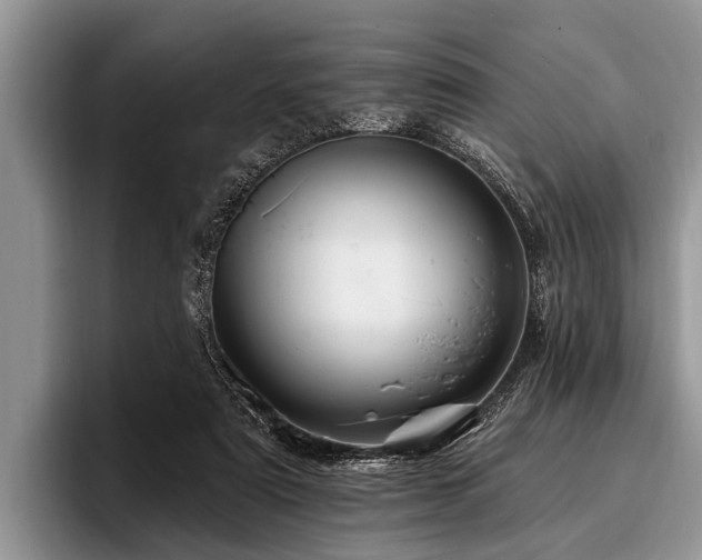 X0000096990307200802081433