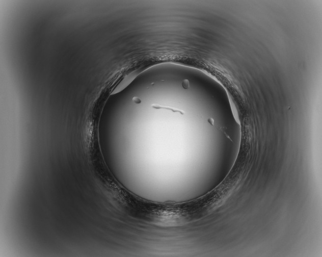 X0000096990308200802081433