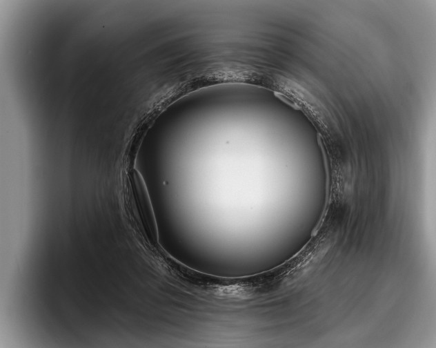 X0000096990309200802081433