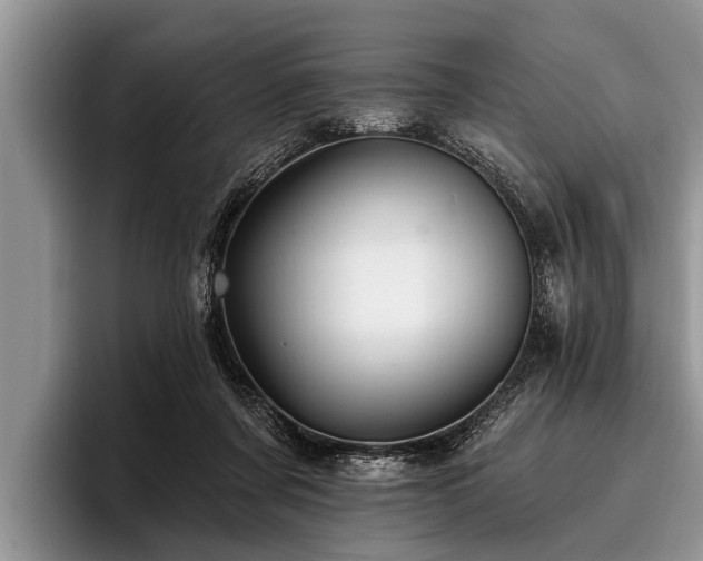 X0000096990311200802081433