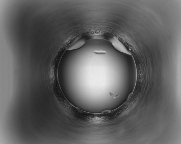 X0000096990312200802081433