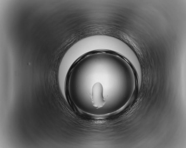 X0000096990313200802081433