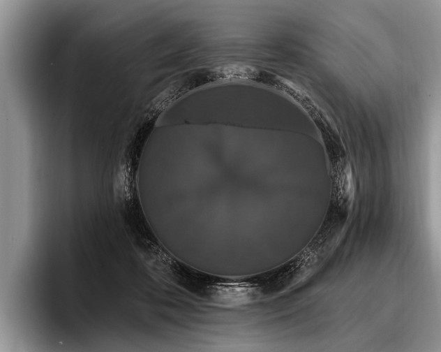 X0000096990316200802081433