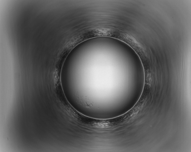 X0000096990318200802081433