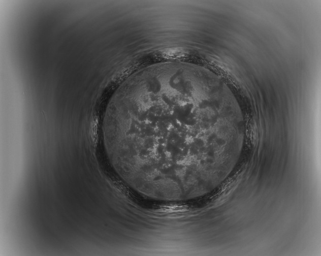 X0000096990319200802081433