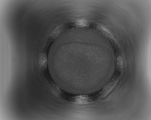 X0000096990320200802081433