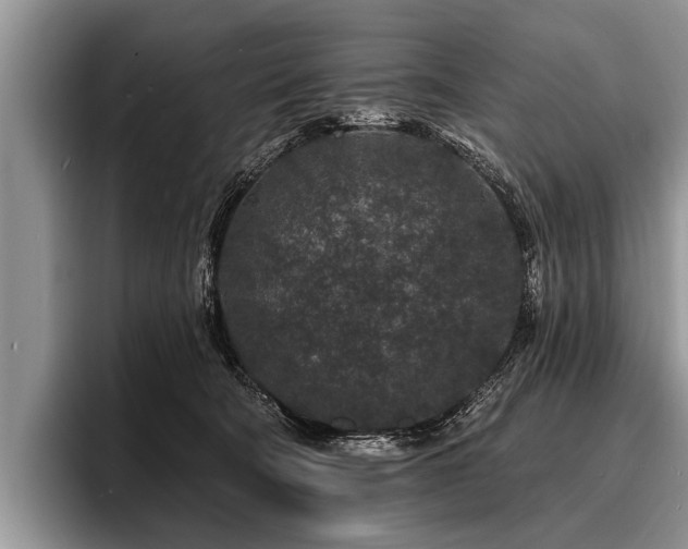 X0000096990322200802081433