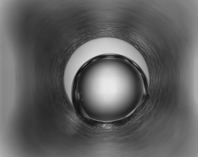 X0000096990324200802081433