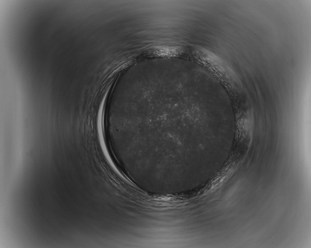 X0000096990325200802081433