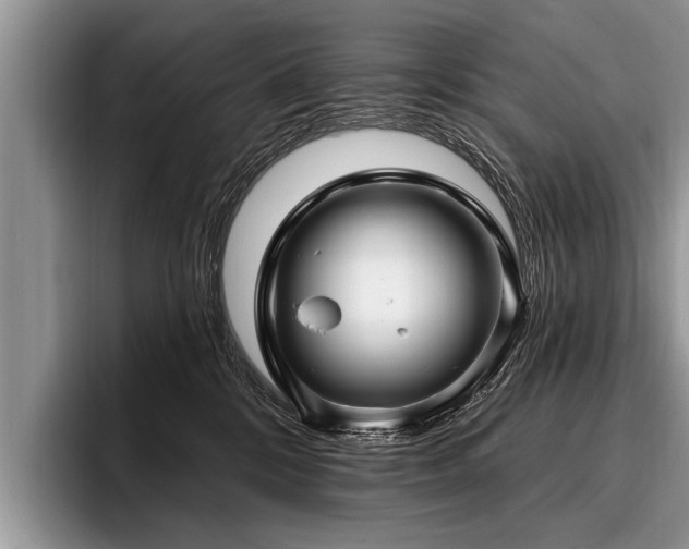 X0000096990328200802081433