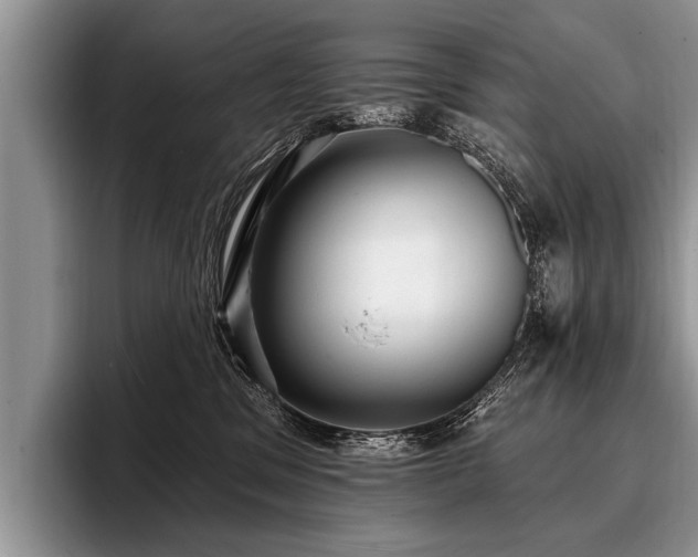 X0000096990329200802081433