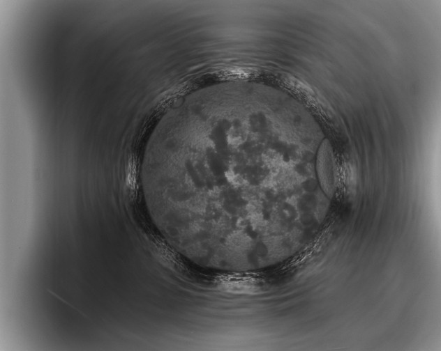X0000096990331200802081433