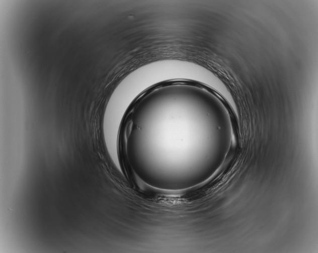 X0000096990332200802081433