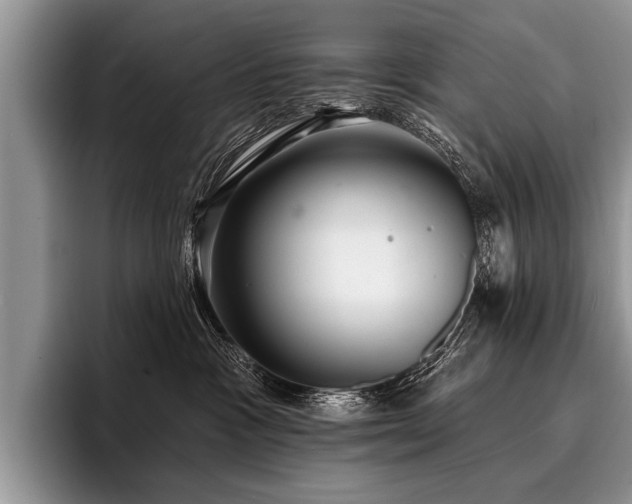 X0000096990333200802081433