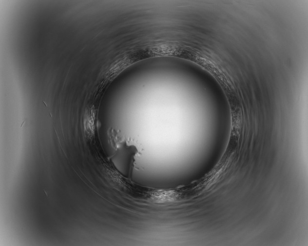 X0000096990334200802081433