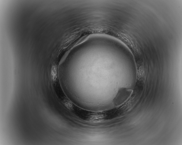 X0000096990335200802081433
