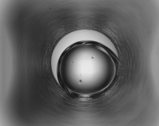 X0000096990336200802081433