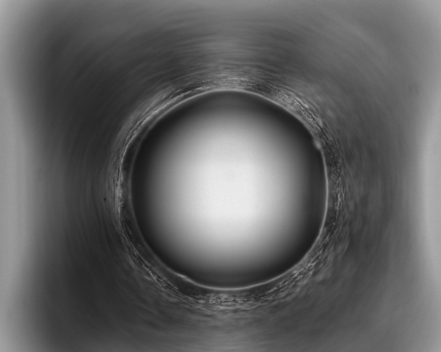 X0000096990338200802081432