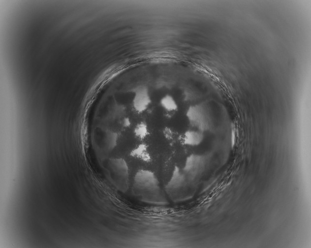 X0000096990339200802081432