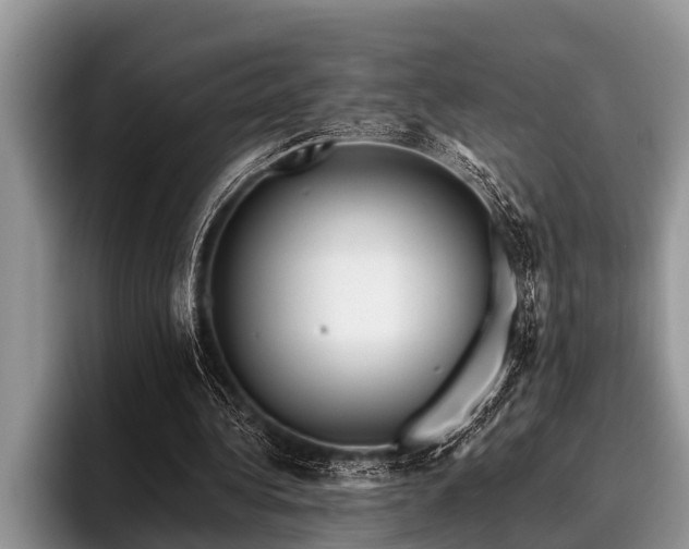 X0000096990340200802081432