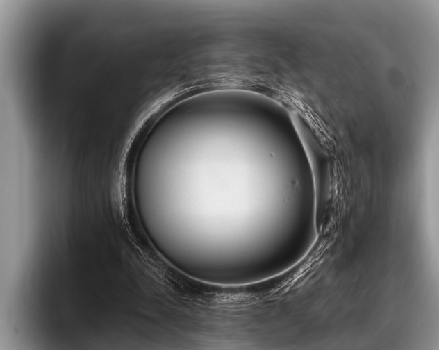 X0000096990342200802081432