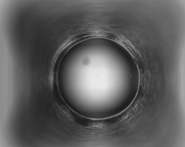 X0000096990344200802081432