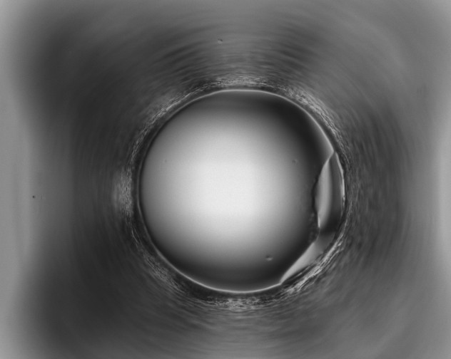 X0000096990345200802081432