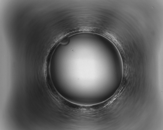 X0000096990346200802081432