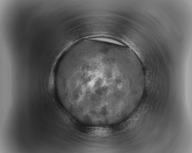X0000096990347200802081432