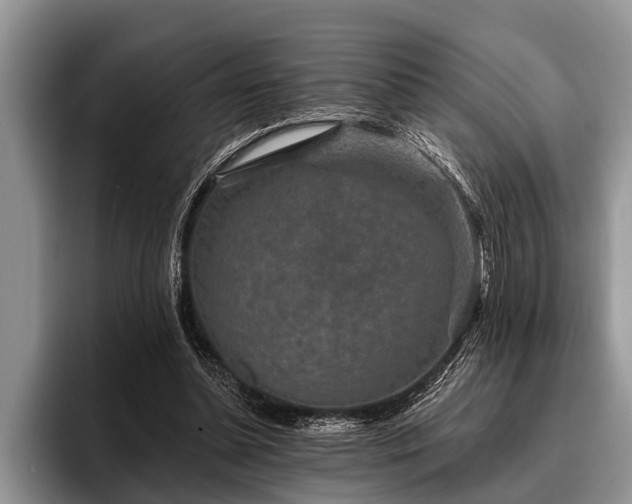X0000096990348200802081432