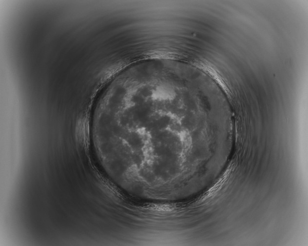 X0000096990349200802081432