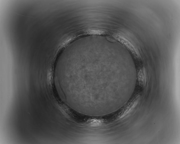 X0000096990352200802081432