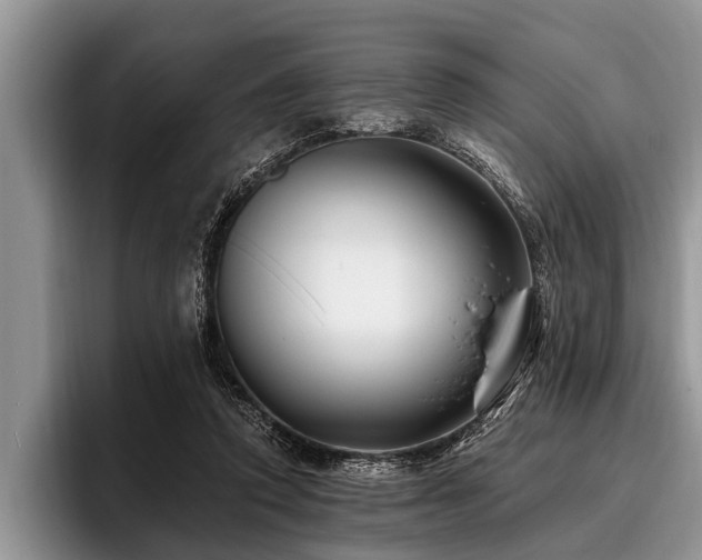 X0000096990354200802081432