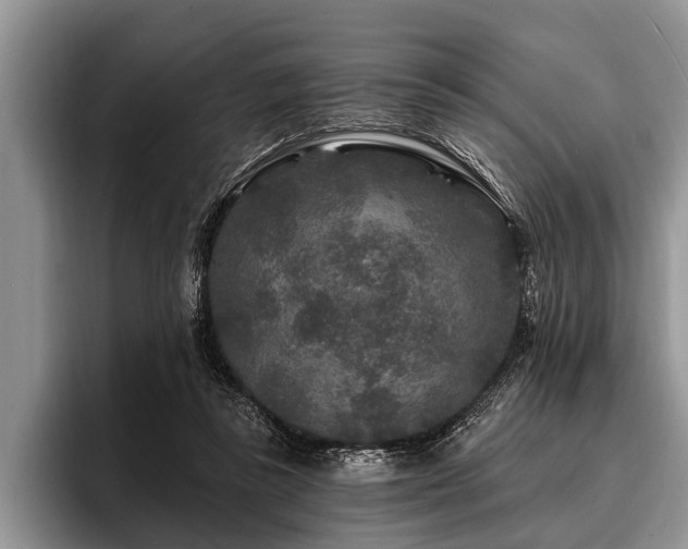 X0000096990355200802081432