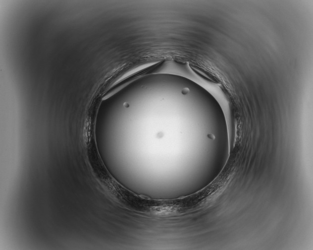 X0000096990356200802081432