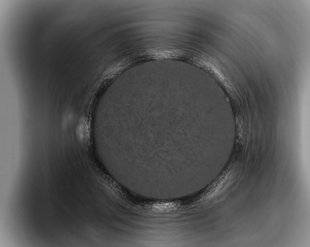 X0000096990357200802081432