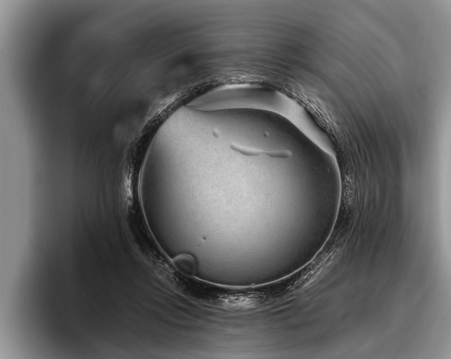 X0000096990358200802081432