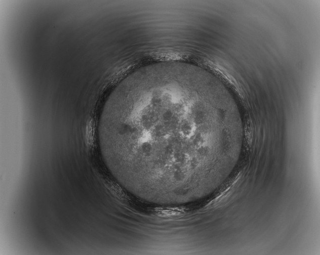 X0000096990359200802081432