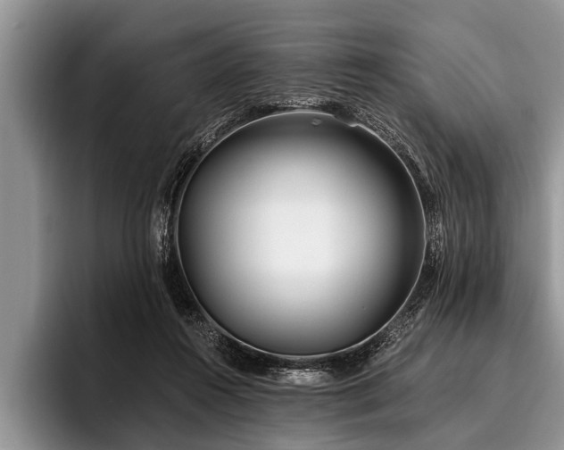X0000096990360200802081432