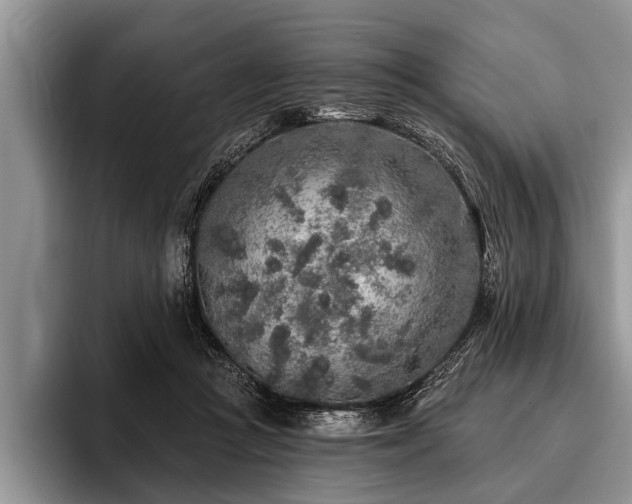 X0000096990361200802081432