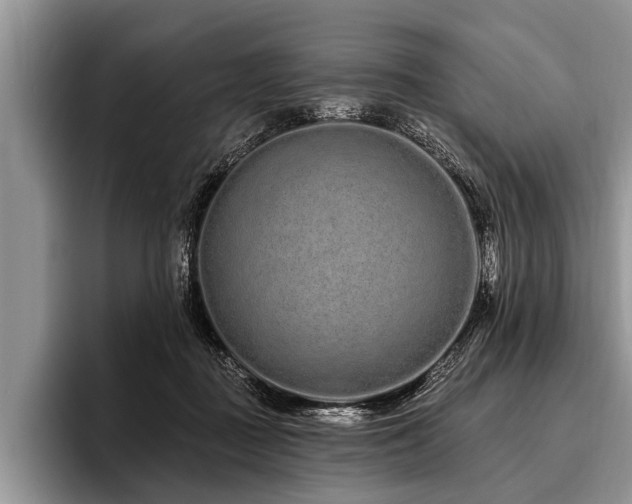 X0000096990363200802081432